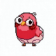 Pet evolving into a new form